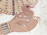 Wall Painting of Bird in Hand in Tomb of Nakht, Valley of Nobles, UNESCO World Heritage Site Photographic Print by Walter Rawlings