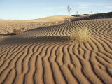 Sahara Desert, Algeria, North Africa, Africa Photographic Print by Geoff Renner Sahara Desert, Algeria, North Africa, Africa Photographic Print by Geoff Renner