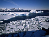 Coastal Scenery, Antarctic Peninsula, Antarctica, Polar Regions Lámina fotográfica por Geoff Renner