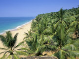 Beach and Coconut Palms, Kovalam Beach, Kerala State, India Photographic Print by Gavin Hellier Beach and Coconut Palms, Kovalam Beach, Kerala State, India Photographic Print by Gavin Hellier