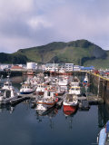 Harbour, Westman Islands, Heimaey, Iceland, Polar Regions Photographic Print by Geoff Renner