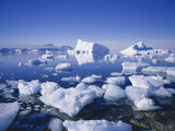 Icebergs and Brash Ice, Antarctica, Polar Regions Photographic Print by Geoff Renner