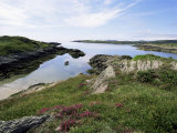 Cove, Near Schull, Co. Cork, Munster, Eire (Republic of Ireland) Photographic Print by David Hughes Cove, Near Schull, Co. Cork, Munster, Eire (Republic of Ireland) Photographic Print by David Hughes