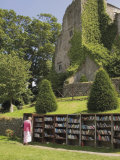Bookstall in Grounds of Hay on Wye Castle, Powys, Mid-Wales, Wales, United Kingdom Photographic Print by David Hughes