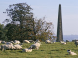 Sheep and Obelisk, Welcombe Hills, Near Stratford Upon Avon, Warwickshire, England Photographic Print by David Hughes Sheep and Obelisk, Welcombe Hills, Near Stratford Upon Avon, Warwickshire, England Photographic Print by David Hughes