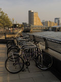 Bicycle Racks, Canary Riverside Walk Alongside River Thames, Canary Wharf, London Lámina fotográfica por David Hughes
