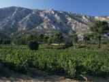 Vineyards and Montagne Ste. Victoire, Near Aix-En-Provence, Bouches-Du-Rhone, Provence, France Photographie par David Hughes