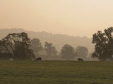 Sheep Farmland Seen from the Cotswold Way Footpath, Stanway Village, the Cotswolds, England Photographic Print by David Hughes