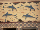 Dolphins, Knossos, Crete, Greek Islands, Greece Photographic Print by G Richardson