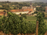 Maconnais Vineyards, Poilly Fuisse, Ozenay, Near Macon, Saone-Et-Loire, Burgundy, France Photographie par David Hughes
