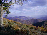 Area Near Loft Mountain, Shenandoah National Park, Virginia, USA Photographic Print by James Green