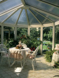 Interior of a Conservatory, United Kingdom Photographic Print by G Richardson