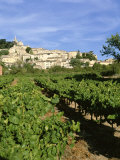 Vines in Vineyard, Village of Bonnieux, the Luberon, Vaucluse, Provence, France Photographie par David Hughes