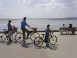 Family on Bicycles, Le Crotoy, Somme Estuary, Picardy, France Lámina fotográfica por David Hughes