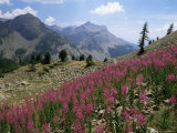 Col De La Cayolle, Near Barcelonnette, Hautes-Alpes, Provence, France Photographie par David Hughes
