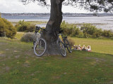 Bicycles by Tree and Couple Relaxing on the Grass, St. Pol De Leon, Carentac in Distance, Brittany Lámina fotográfica por David Hughes