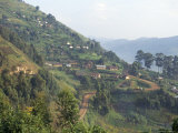 Terraced Fields on the Road to Kisoro, Southwestern Area, Uganda, East Africa, Africa Photographic Print by David Poole