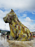 Jeff Koons "Puppy",1992, Stainless Steel, Guggenheim Museum Photographie par Christopher Rennie