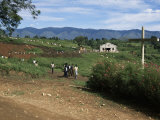 People Leaving Church on a Sunday, Fort Portal, Uganda, East Africa, Africa Fotografisk tryk af David Poole