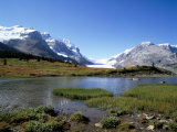 Athabasca Glacier and Sunwapta Lake, Rocky Mountains, Jasper National Park, Alberta Photographie par Hans Peter Merten