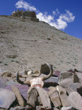 Long Zhu Que Dan, Ritu County, Tibet, China Photographic Print by Peter Ryan