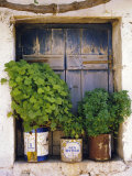 Windowsill, Paleohora, Crete, Greece Photographic Print by Peter Ryan