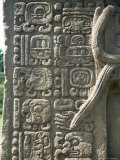 Mayan Stela J, Dating from 756 AD, Quirigua, Unesco World Heritage Site, Guatemala, Central America Photographic Print by Christopher Rennie