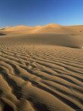 Sand Dunes and Dune Sea, Sesriem, Namib Naukluft Park, Namibia, Africa Photographic Print by Lee Frost Sand Dunes and Dune Sea, Sesriem, Namib Naukluft Park, Namibia, Africa Photographic Print by Lee Frost