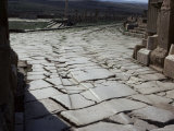 Chariot Wheel Ruts by the West Gate, Roman Site of Timgad, Unesco World Heritage Site, Algeria Photographie par Jack Jackson