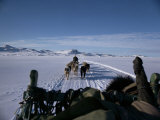 Dog Transport, Greenland, Polar Regions Photographic Print by Jack Jackson