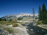 Wood River and Sawtooths, Sawtooth National Recreation Area, Idaho, USA Photographic Print by Julian Pottage