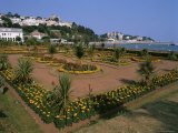 Torre Abbey Gardens, Torquay, Devon, England, United Kingdom Photographic Print by Lee Frost