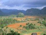 View Over Vinales Valley Towards Tobacco Plantations and Mogotes, Vinales, Cuba Photographie par Lee Frost
