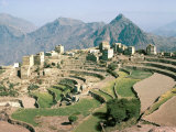 Terraced Fields Near Menacha, North Yemen, Yemen, Middle East Photographic Print by Jack Jackson