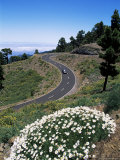 Road Near Las Moradas, La Palma, Canary Islands, Spain Photographie par Hans Peter Merten