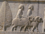 Carved Reliefs of Rams from Asia Minor on the Apadana Palace Staircase, Persepolis, Middle East Photographic Print by David Poole