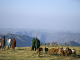 Shepherds at Geech Camp, Simien Mountains National Park, Unesco World Heritage Site, Ethiopia Photographic Print by David Poole
