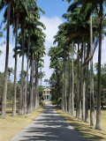 Codrington College, Barbados, West Indies, Caribbean, Central America Photographic Print by Hans Peter Merten Codrington College, Barbados, West Indies, Caribbean, Central America Photographic Print by Hans Peter Merten