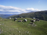 Landscape in Aurlandsdalen, Sogn Og Fjordane, Norway, Scandinavia Photographie par Hans Peter Merten
