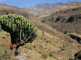 Mersheha River Valley, Simien Mountains National Park, Ethiopia, Africa Photographic Print by David Poole