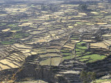 Aerial View of Inca Terraces, Colca Canyon, Chivay, Peru, South America Photographie par Christopher Rennie