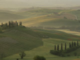 Morning View Across Val d'Orcia to the Belvedere, Near San Quirico d'Orcia, Tuscany, Italy Photographic Print by Lee Frost