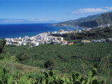 Santa Cruz De La Palma, La Palma, Canary Islands, Spain, Atlantic Photographie par Hans Peter Merten