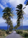 East Coast Near Bathsheba, Barbados, West Indies, Caribbean, Central America Photographic Print by Hans Peter Merten East Coast Near Bathsheba, Barbados, West Indies, Caribbean, Central America Photographic Print by Hans Peter Merten