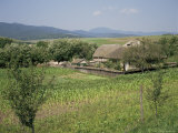 Typical Moldavian Village with Wooden Tiled Roofs, Poiana, Moldavia, Romania Photographic Print by Christopher Rennie
