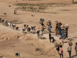 Women on Their Way to Washplace in the River Niger, Mali, Africa Photographic Print by Jack Jackson