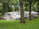 Granite Outcrops in Central Park, Manhattan, New York City, New York, USA Photographic Print by Amanda Hall