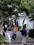 Yuen Po Street Bird Garden, Mong Kok, Kowloon, Hong Kong, China Photographic Print by Amanda Hall