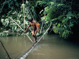 Yanomami Man Carrying Peach Palm Fruit Crossing a River, Brazil, South America Photographic Print by Robin Hanbury-tenison