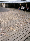Octopus and Fish Drying in the Sun at Semporna's Fish Market, Semporna, Sabah, Island of Borneo Photographie par Lousie Murray